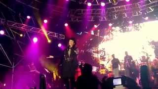 Olga Tañón  Asi es La Vida Festival de La Kalle 2015 [upl. by Thorwald]