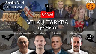 Vilkų taryba 80  rinkimai Lietuvoje Gruzijoje ir JAV [upl. by Ilenna]