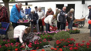 Balkonpflanzenverkauf bei der WEWOBAU [upl. by Marka]