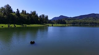 Alder Lake  Eatonville Washington Aerial Video HD [upl. by Rodrick151]