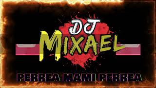 DJ Mixael  Perrea Mami Perrea  Mister Cobra  Huapango Remix [upl. by Marie]