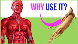 Drinking Ginseng Tea Every Morning And This will happens to Your Body [upl. by Watters408]