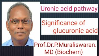 Uronic acid Pathway Muralis Simplified Biochemistry [upl. by Ainoet]