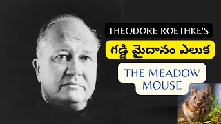 Telugu Summary of Theodore Roethkes poem quotThe Meadow Mousequot [upl. by Ssalguod]