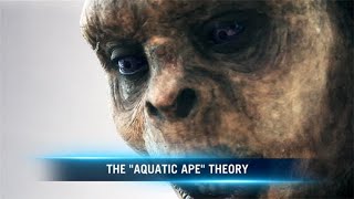 Aquatic Ape Theory Unpopular Facts Unveiled [upl. by Yrokcaz631]