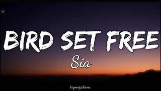 Sia – Bird Set Free Lyrics [upl. by Aurlie]