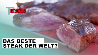 Wer grillt das beste Steak der Welt Die GrillWM in Stuttgart  Focus TV Reportage [upl. by Ais124]