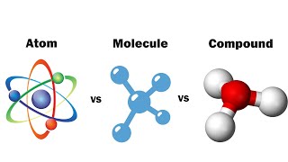 Atom Molecule and Compounds concept [upl. by Annalise]