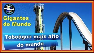 Toboágua mais alto do mundo  Verruckt water slide [upl. by Sheilah]