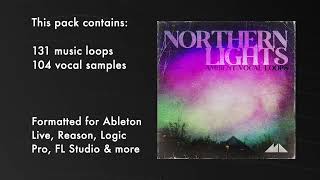 Northern Lights  Ambient Vocal Loops Demo [upl. by Haron687]