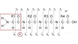 Mass spectrometry for proteomics  part 2 [upl. by Iggam739]