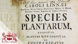 Linnean Lens Carl Linnaeus Species Plantarum and Naming Nature [upl. by Vevay616]