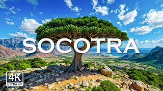 Socotra Island 4K  A Journey to the Most Alien and Isolated Island on Earth in Stunning 4K [upl. by Enyamrahs160]