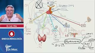 ENDOCRINOLOGÍA Esquemas de repaso Qx Medic 2023 [upl. by Teagan]