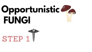 Opportunistic Fungi  Aspergillus Mucormycosis P jirovecii Candida amp Cryptococcus STEP1 [upl. by Aubert]