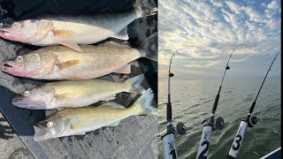 Quick Saginaw Bay Walleye UpdateJuly 2024 [upl. by Nirtak17]