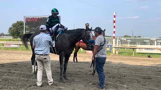 Gould’s Gold amp jockey Emmanuel Esquivel won the 200000 Smarty Jones Stakes at Parx Racing [upl. by Parthenia609]