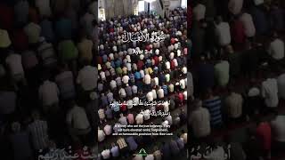 Surah Anfal 34 shortvideo shorts [upl. by Elbys475]