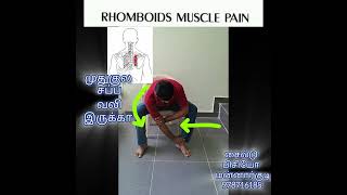 Rhomboids muscle pain முதுகு சப்பை இல் வலி இருக்கிறதா இதை செய்யுங்கள் Rhomboids stretching [upl. by Malinin]