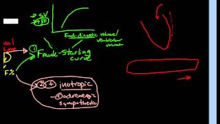 Physiologic Determinants of Cardiac Output [upl. by Ariday66]