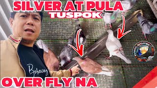 EP821  P2 SILVER AT PULA TUSPOK SA SINGLE TOSS [upl. by Bilbe854]