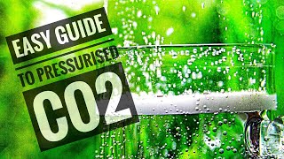 How to set up a pressurised CO2 kit  Full Tutorial [upl. by Aytnahs264]