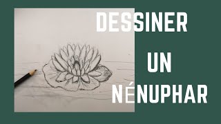 Comment dessiner un nénuphar [upl. by Diana]