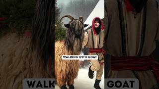 Did You Know Walking the Goat is Romanian Tradition Romania culture traditions [upl. by Dode139]