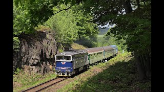 Frýdlantské Valdštejnské slavnosti 18 a 1952013 [upl. by Gnehc367]