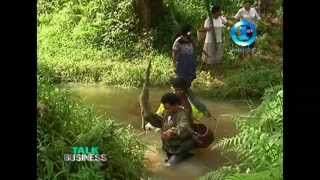 RURAL WOMEN EMPOWERMENT  TAILEVU FARMING [upl. by Jaehne]