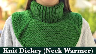 Winter Knit Dickey Neck Warmer Tutorial [upl. by Aloise63]