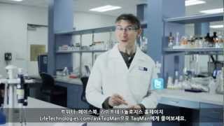 Ask TaqMan ® Ep 2 RealTime PCR Assay 디자인을 위한 팁 [upl. by Brenn442]