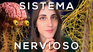 El SISTEMA NERVIOSO explicado FÁCIL [upl. by Eittam231]