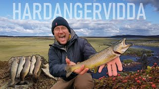 Fiskebonanza på Hardangervidda [upl. by Gilbye]