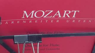 モーツァルト フルート四重奏曲 4 Mozart Flute Quartet in C KV 285b Flötenquartett  Takahashi in JAPAN [upl. by Ybanrab75]