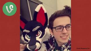 Furry Vine Compilation 1 100 Vines 2017 Ft Fursuit Dancers Telephone and More [upl. by Jerz]