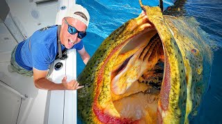 Catching WORLDS STRONGEST FISH INSANE [upl. by Rockey]