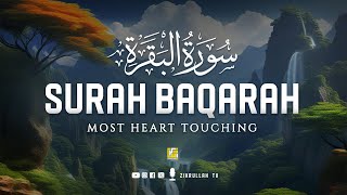 Surah Al Baqarah Full سورة البقره  Relaxing heart touching voice  Zikrullah TV [upl. by Brubaker]