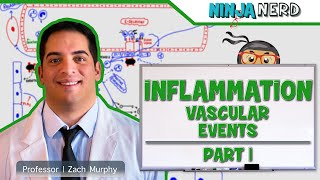 Immunology  Inflammation Vascular Events Part 1 [upl. by Nan287]