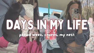 days in my life  period week chores my nest [upl. by Meghann]