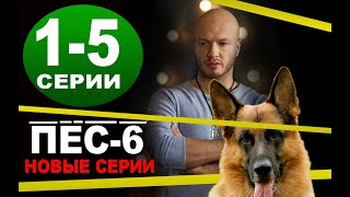 ПЕС 6 СЕЗОН  15 серия  ВСЕ СЕРИИ ПОДРЯД Дата выхода анонс [upl. by Niarfe430]