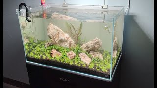 How to make aquascape [upl. by Rubetta]