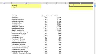 How to Use Advanced Filters In Excel [upl. by Okin851]