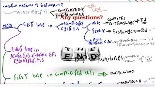 UrogenitalTheoreticalfinal revision quot UT Treatmentquot Pharmacology 2 🩺 [upl. by Riordan]