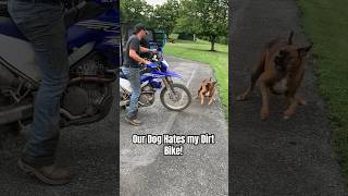 Why do dogs hate dirt bikes dog dirtbike [upl. by Annoyik174]