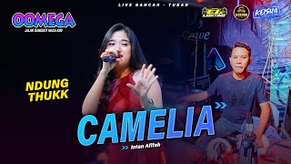 CAMELIA  Intan Afifah OOMEGA Ft  Faris Kendang  Live Tuban dhehanpro [upl. by Natye]