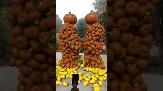 Fruit pairing c4d works special effects [upl. by Dragde]