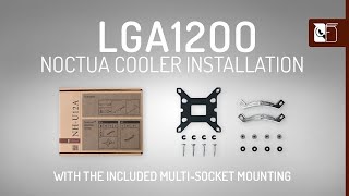 Noctua SecuFirm2™ LGA1200LGA115x multisocket CPU cooler installation [upl. by Three824]