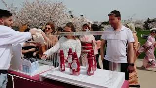 Welcome to Sakura Festival on Campus [upl. by Azeel606]