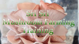 Sri Sri Mushroom Farming Training [upl. by Jehoash]